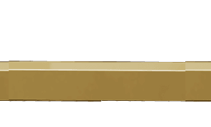 706 'D' Handle Satin Brass